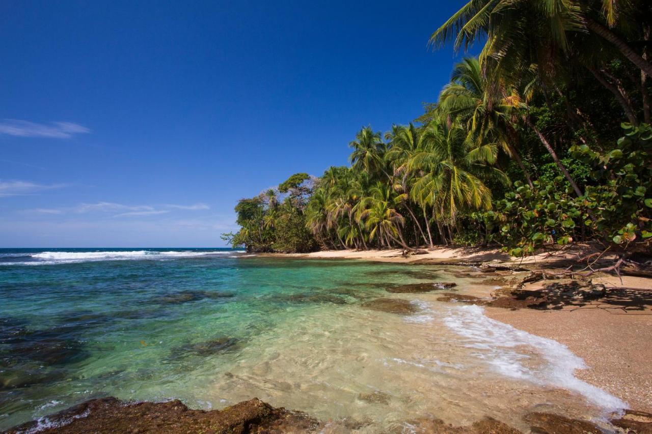 Manzanillo Caribbean Resort Puerto Viejo de Talamanca ภายนอก รูปภาพ