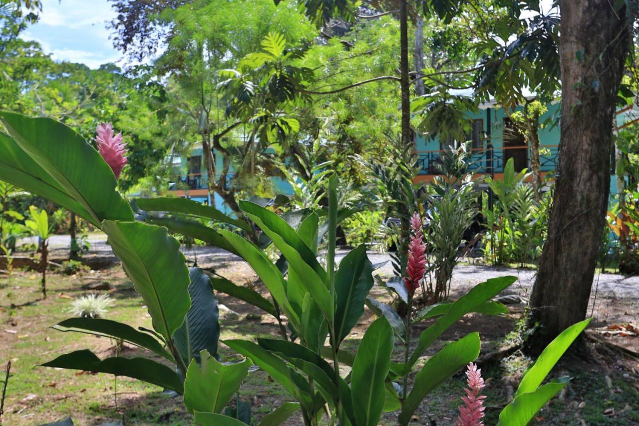Manzanillo Caribbean Resort Puerto Viejo de Talamanca ภายนอก รูปภาพ